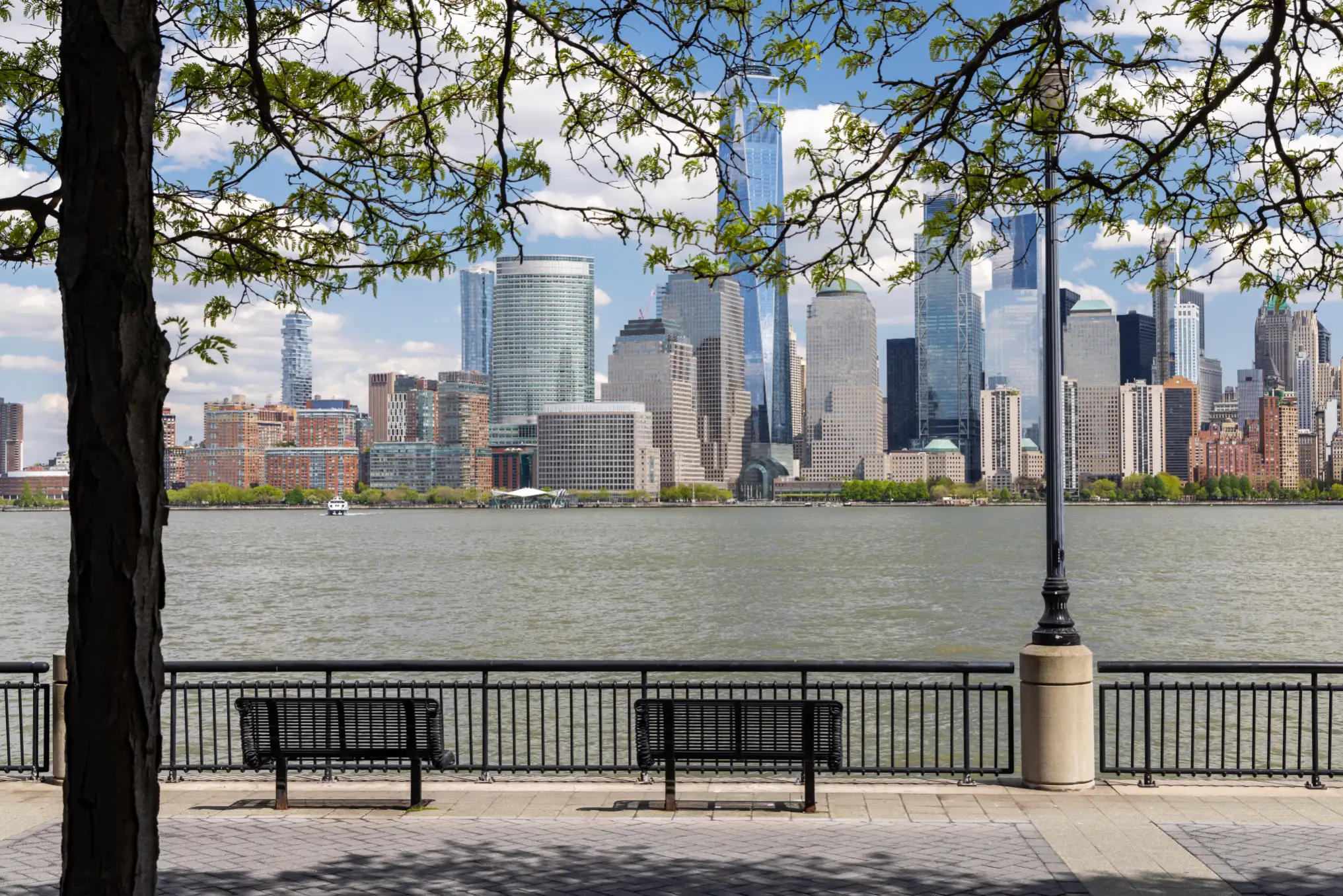 new-york-img (2)